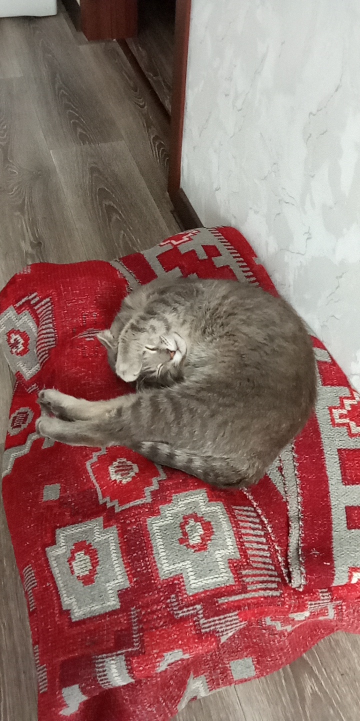 Фото анкети