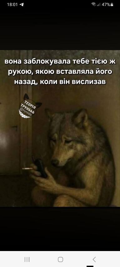 Шукаю дівчину