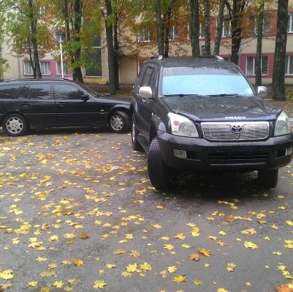 Хлопець шукає дівчатка