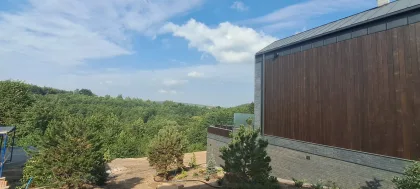 Секс,Куні, задоволення