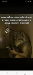 Шукаю дівчину